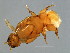  ( - DRUP-M.0-YN-10)  @11 [ ] CreativeCommons - Attribution (2008) Unspecified Centre for Biodiversity Genomics