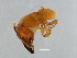  ( - DRUP-M.1-YN-1)  @13 [ ] CreativeCommons - Attribution (2008) Unspecified Centre for Biodiversity Genomics