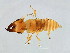  ( - DRUP-M.1-YN-2)  @14 [ ] CreativeCommons - Attribution (2008) Unspecified Centre for Biodiversity Genomics