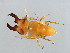  ( - DRUP-M.1-YN-5)  @14 [ ] CreativeCommons - Attribution (2008) Unspecified Centre for Biodiversity Genomics