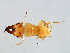 ( - DRUP-M.1-YN-6)  @13 [ ] CreativeCommons - Attribution (2008) Unspecified Centre for Biodiversity Genomics