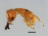  ( - DRUP-M.1-YN-7)  @13 [ ] CreativeCommons - Attribution (2008) Unspecified Centre for Biodiversity Genomics