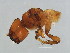  ( - DRUP-M.2-YN-5)  @13 [ ] CreativeCommons - Attribution (2008) Unspecified Centre for Biodiversity Genomics