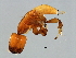  ( - DRUP-M.2-YN-6)  @13 [ ] CreativeCommons - Attribution (2008) Unspecified Centre for Biodiversity Genomics