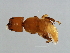  ( - DRUP-M.2-YN-7)  @11 [ ] CreativeCommons - Attribution (2008) Unspecified Centre for Biodiversity Genomics