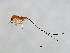  ( - DRUP-PHI.1-YN-1)  @13 [ ] CreativeCommons - Attribution (2008) Unspecified Centre for Biodiversity Genomics