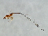  ( - DRUP-PHI.2-YN-5)  @13 [ ] CreativeCommons - Attribution (2008) Unspecified Centre for Biodiversity Genomics