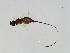  ( - ERE-SCA.1-FJ-4)  @13 [ ] CreativeCommons - Attribution (2008) Unspecified Centre for Biodiversity Genomics