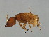  ( - ERE-M.1-FJ-3)  @13 [ ] CreativeCommons - Attribution (2008) Unspecified Centre for Biodiversity Genomics