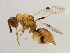  ( - BEN-SPH.3.1-HN-3)  @14 [ ] Unspecified (default): All Rights Reserved  Unspecified Unspecified