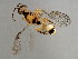  ( - BEN-M11-HN-1)  @13 [ ] Unspecified (default): All Rights Reserved  Unspecified Unspecified
