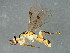  ( - BEN-M11-HN-4)  @14 [ ] Unspecified (default): All Rights Reserved  Unspecified Unspecified