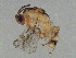  ( - BEN-M11-HN-5)  @14 [ ] Unspecified (default): All Rights Reserved  Unspecified Unspecified