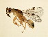  ( - BEN-M11-HN-6)  @14 [ ] Unspecified (default): All Rights Reserved  Unspecified Unspecified