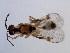  ( - BEN-M11-HN-7)  @13 [ ] Unspecified (default): All Rights Reserved  Unspecified Unspecified