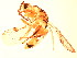  ( - BEN-M11-HN-8)  @13 [ ] Unspecified (default): All Rights Reserved  Unspecified Unspecified