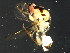  ( - BEN-M11-HN-9)  @13 [ ] Unspecified (default): All Rights Reserved  Unspecified Unspecified
