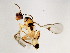  ( - BEN-M11-HN-12)  @13 [ ] Unspecified (default): All Rights Reserved  Unspecified Unspecified