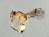  ( - BEN-M11-HN-13)  @14 [ ] Unspecified (default): All Rights Reserved  Unspecified Unspecified