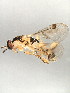  ( - BEN-M11-HN-15)  @13 [ ] Unspecified (default): All Rights Reserved  Unspecified Unspecified