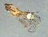  ( - BEN-M11-HN-16)  @14 [ ] Unspecified (default): All Rights Reserved  Unspecified Unspecified