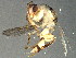  ( - BEN-M11-HN-17)  @14 [ ] Unspecified (default): All Rights Reserved  Unspecified Unspecified