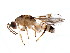  ( - BEN-M11-HN-19)  @14 [ ] Unspecified (default): All Rights Reserved  Unspecified Unspecified