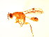  ( - BEN-M11-HN-20)  @13 [ ] Unspecified (default): All Rights Reserved  Unspecified Unspecified