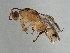  ( - BEN-M11-HN-21)  @14 [ ] Unspecified (default): All Rights Reserved  Unspecified Unspecified