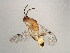  ( - BEN-M11-1 -HN-2)  @13 [ ] Unspecified (default): All Rights Reserved  Unspecified Unspecified
