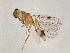  ( - BEN-M11-1 -HN-3)  @13 [ ] Unspecified (default): All Rights Reserved  Unspecified Unspecified