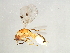 ( - BEN-M11-1 -HN-4)  @13 [ ] Unspecified (default): All Rights Reserved  Unspecified Unspecified