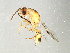  ( - BEN-M11-1 -HN-5)  @13 [ ] Unspecified (default): All Rights Reserved  Unspecified Unspecified