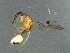  ( - BEN-M11-1 -HN-6)  @13 [ ] Unspecified (default): All Rights Reserved  Unspecified Unspecified