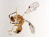  ( - BEN-M11-1 -HN-10)  @14 [ ] Unspecified (default): All Rights Reserved  Unspecified Unspecified