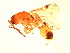  ( - BEN-M11-1 -HN-11)  @13 [ ] Unspecified (default): All Rights Reserved  Unspecified Unspecified