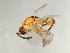  ( - BEN-M11-1 -HN-12)  @13 [ ] Unspecified (default): All Rights Reserved  Unspecified Unspecified