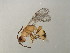  ( - BEN-M11-1 -HN-13)  @14 [ ] Unspecified (default): All Rights Reserved  Unspecified Unspecified