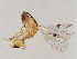 ( - BEN-M11-1 -HN-14)  @14 [ ] Unspecified (default): All Rights Reserved  Unspecified Unspecified