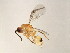  ( - BEN-M11-1 -HN-15)  @13 [ ] Unspecified (default): All Rights Reserved  Unspecified Unspecified