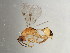  ( - BEN-M11-1 -HN-16)  @14 [ ] Unspecified (default): All Rights Reserved  Unspecified Unspecified