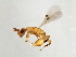  ( - BEN-M15-HN-3)  @13 [ ] Unspecified (default): All Rights Reserved  Unspecified Unspecified