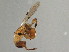  ( - BEN-M15-HN-4)  @13 [ ] Unspecified (default): All Rights Reserved  Unspecified Unspecified