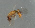  ( - BEN-M15-HN-5)  @13 [ ] Unspecified (default): All Rights Reserved  Unspecified Unspecified