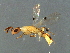  ( - BEN-M15-HN-6)  @14 [ ] Unspecified (default): All Rights Reserved  Unspecified Unspecified