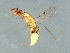  ( - BEN-M15-HN-7)  @13 [ ] Unspecified (default): All Rights Reserved  Unspecified Unspecified