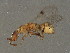  ( - BEN-M15-HN-8)  @14 [ ] Unspecified (default): All Rights Reserved  Unspecified Unspecified