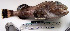  ( - YPK-011-1)  @12 [ ] Unspecified (default): All Rights Reserved  Unspecified Unspecified