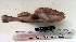  ( - YPK-013-1)  @13 [ ] Unspecified (default): All Rights Reserved  Unspecified Unspecified