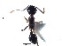  ( - BC25D10A1T1)  @12 [ ] CreativeCommons - Attribution (2015) David Donoso UTPL